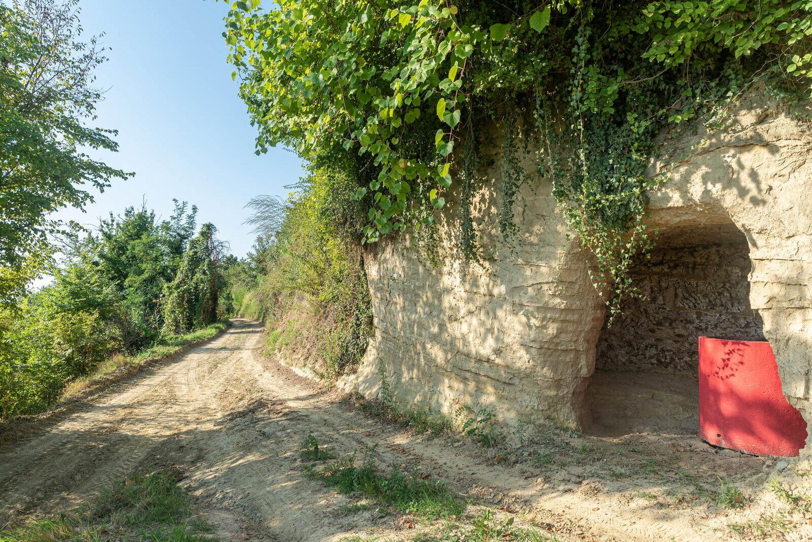 La collina storica del Nebbiolo di famiglia