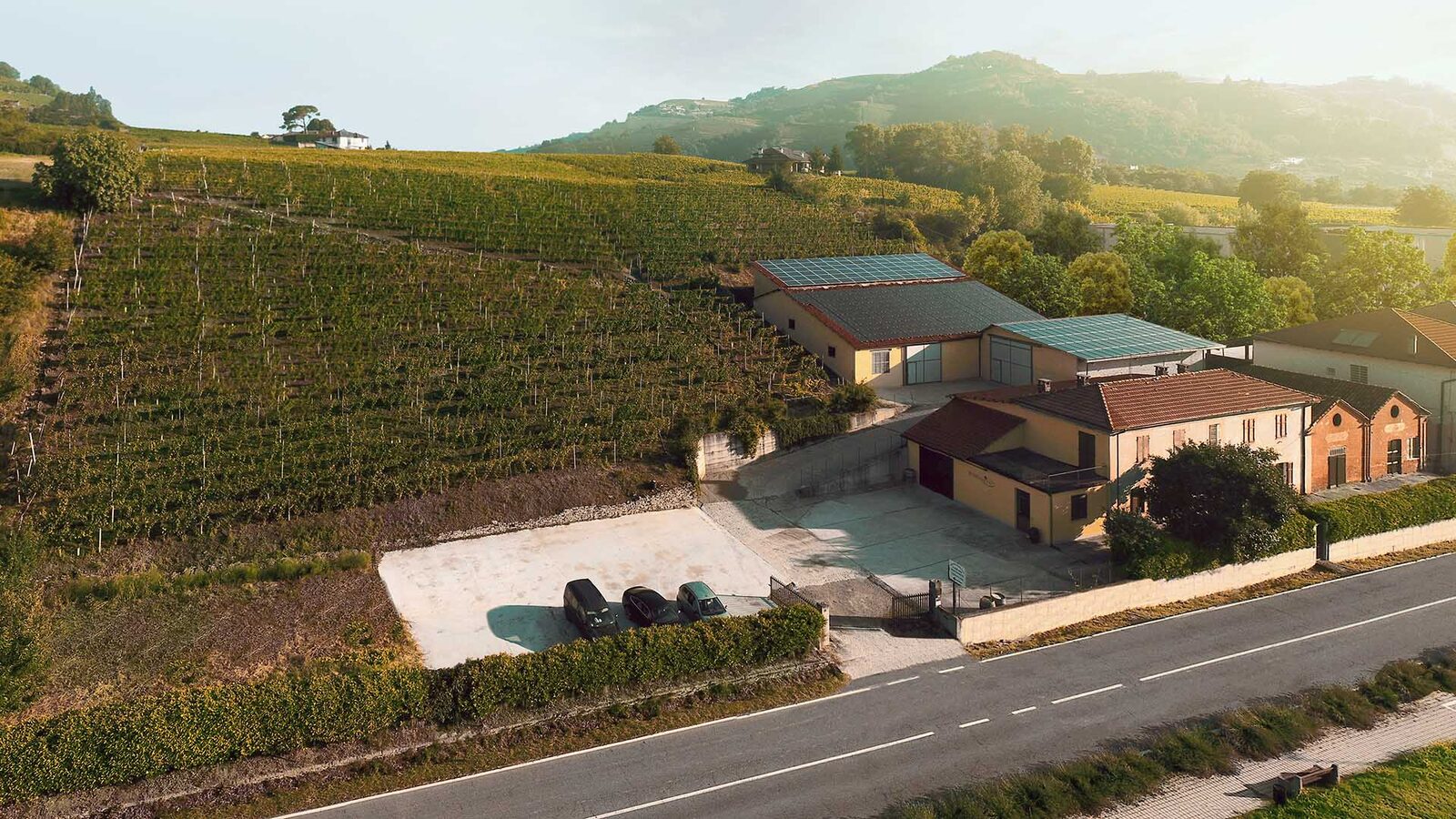La collina che dà profumo al Moscato